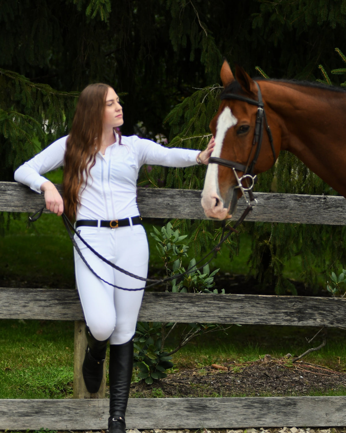 Horse Shoe Reversible Belt