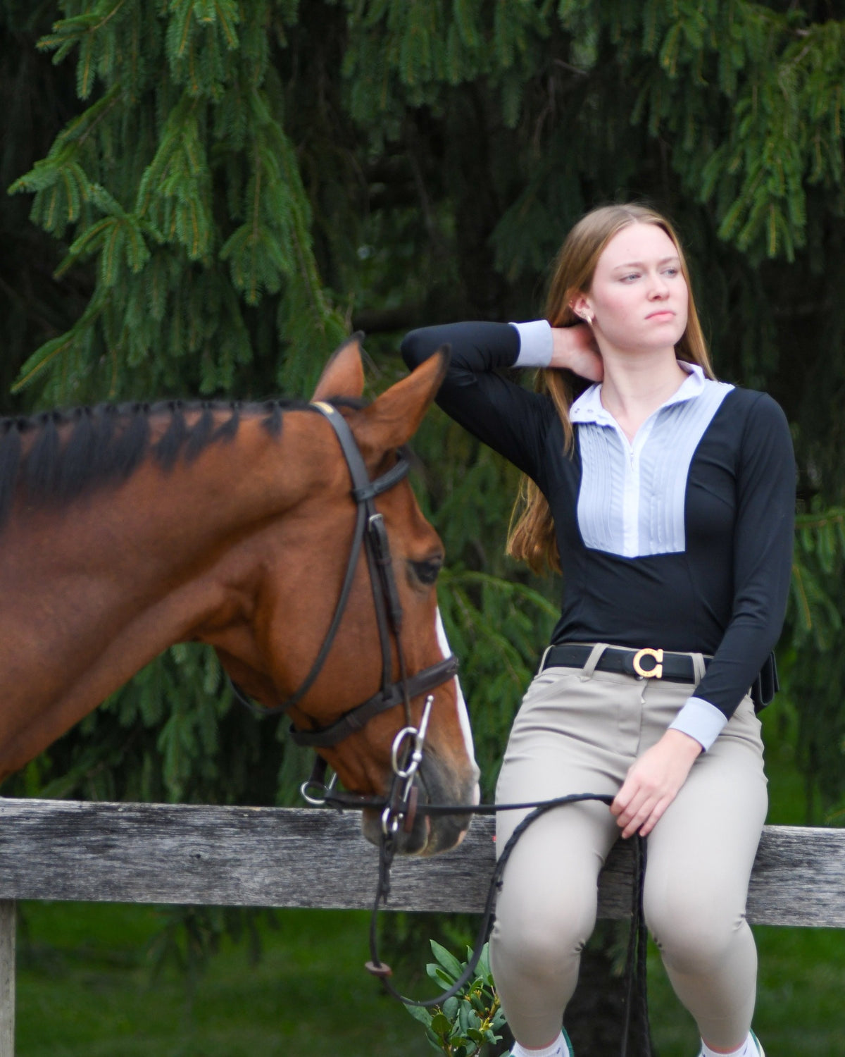 Horse Shoe Reversible Belt